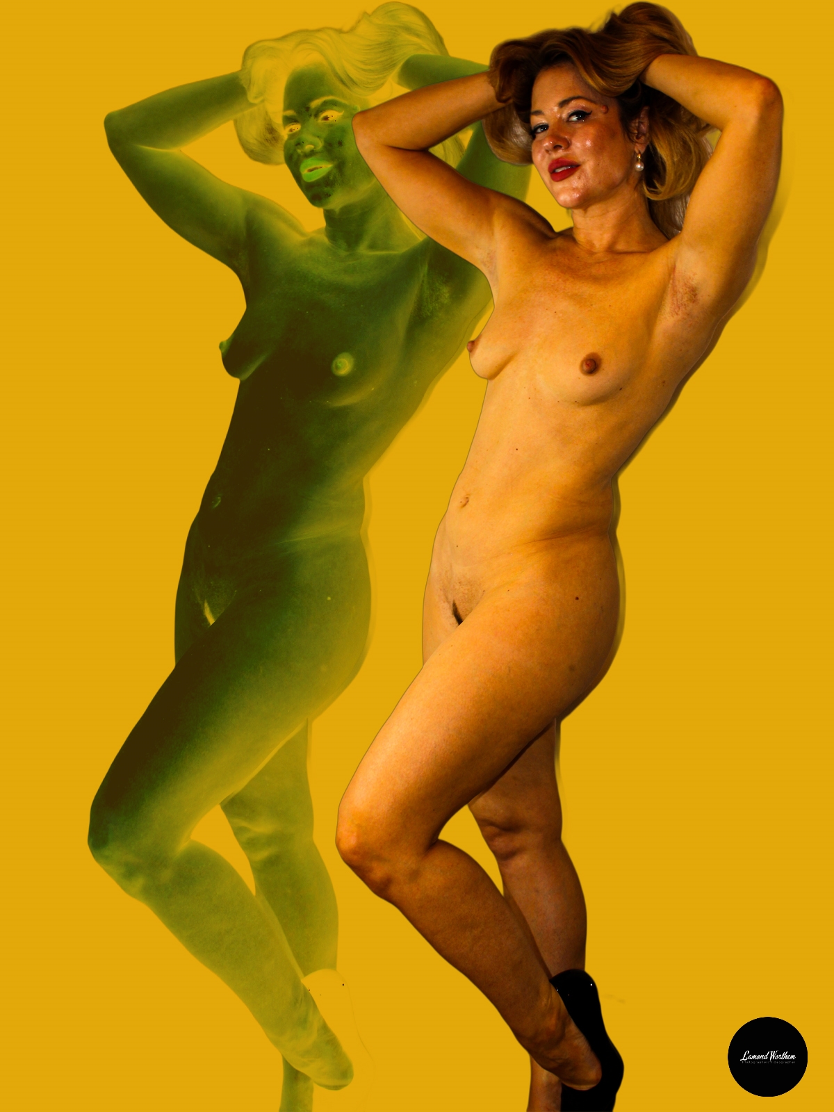 BexLawBoldOrange5.jpg